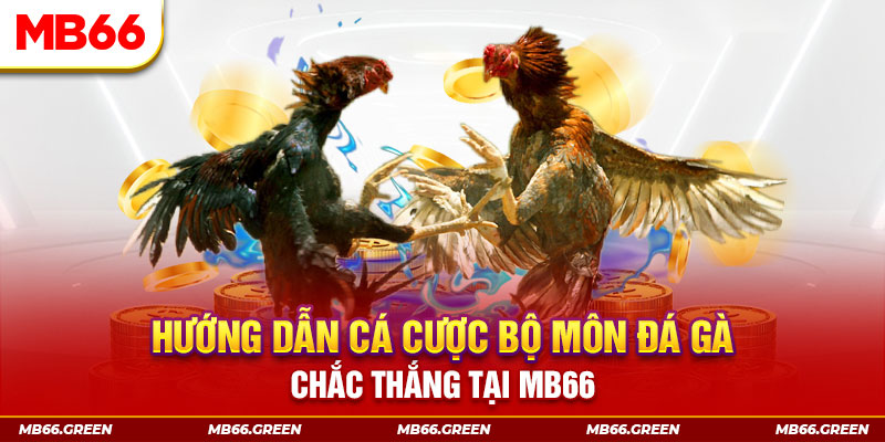 k12online CQ9 Điện Tử