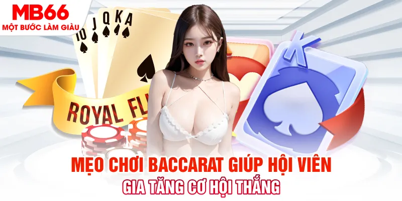 k12online đá gà 88