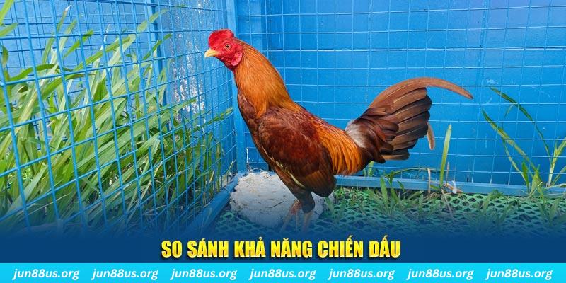 k12online xổ số tiền giang