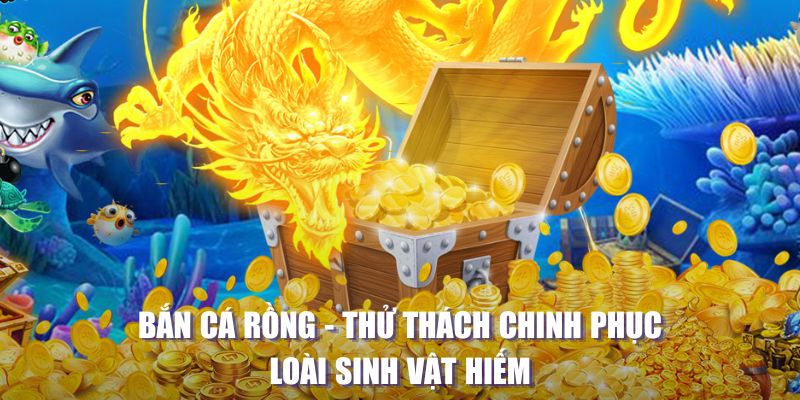 k12online đăng nhập lô đề online