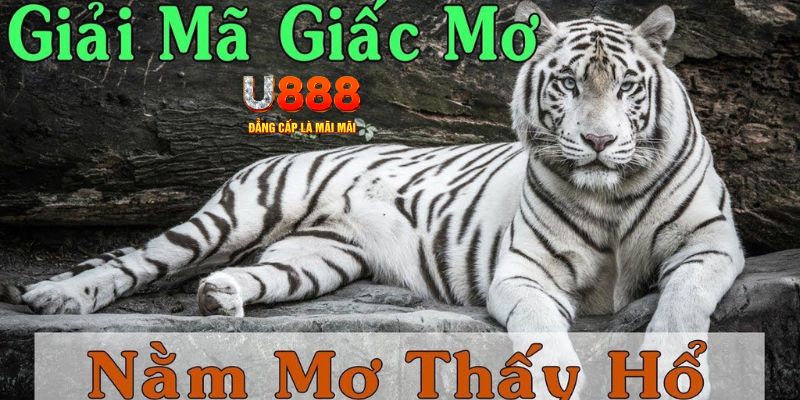 k12online xổ số kiến thiết miền bắc