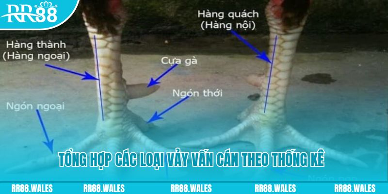 k12online nổ hũ chơi như thế nào