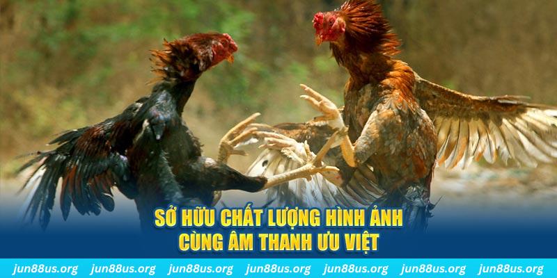 k12online tai game danh bai ve may tinh