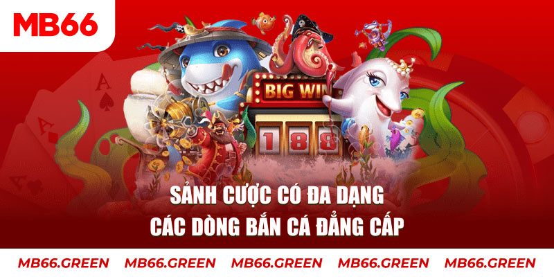 k12online bắn cá