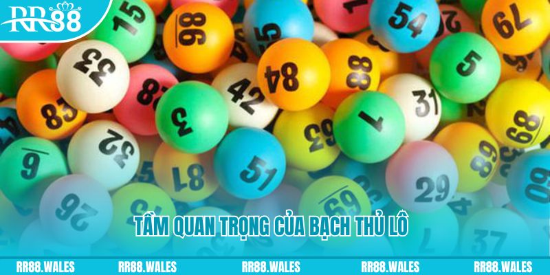 k12online đá gà trực tiếp casino