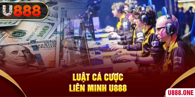 k12online Xì tố