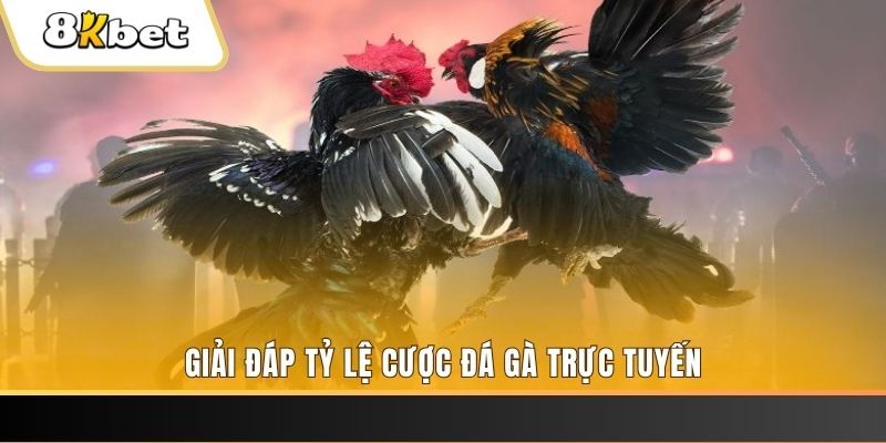 k12online xổ số ba đài