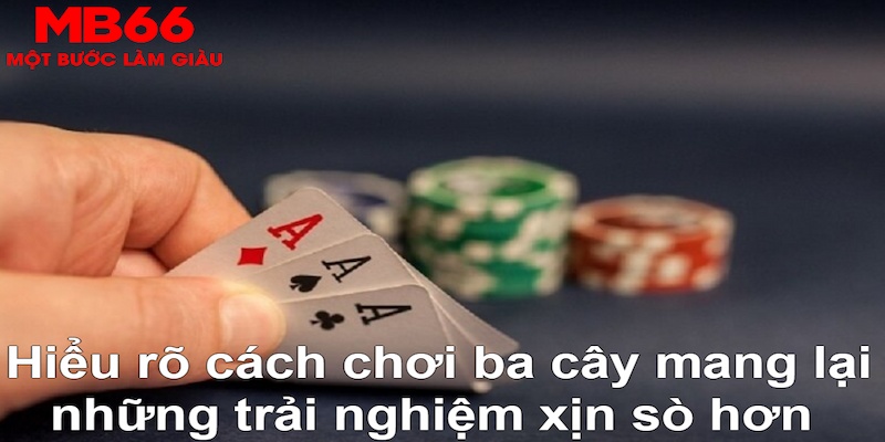 k12online ÁT CHỦ BÀI GIÀNH LẤY ZHUANG NIUNIU ( XEM 3 LÁ )