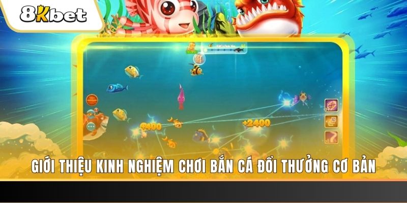k12online 8 bí ẩn chơi nổ hũ ít ai biết