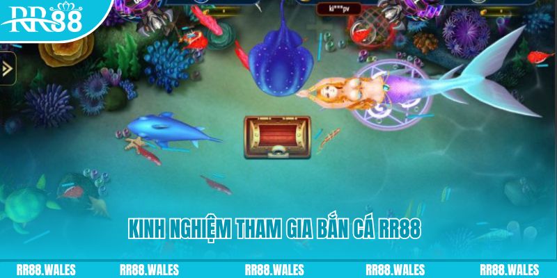 k12online một slot là gì