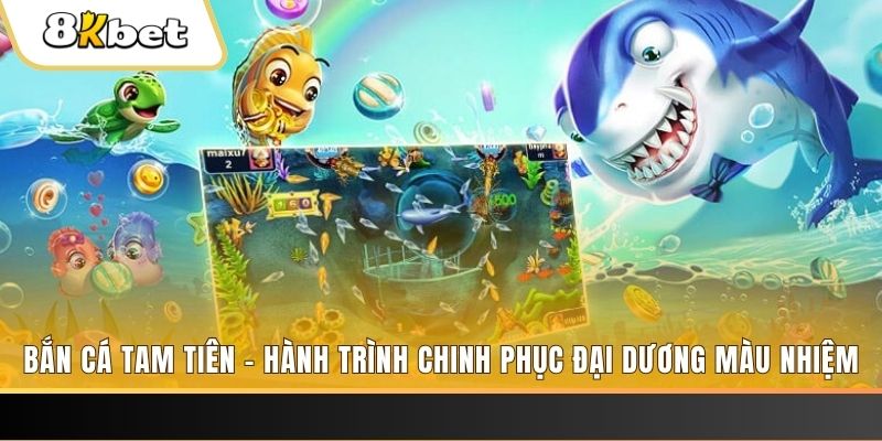 k12online đá gà hôm nay