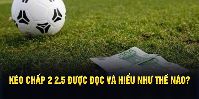 k12online đá gà thomo