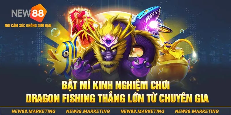 k12online who wants to be a millionaire slot