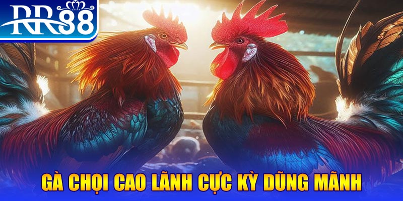 k12online natural” trong baccarat nghĩa là gì？
